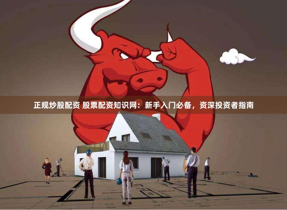 正规炒股配资 股票配资知识网：新手入门必备，资深投资者指南