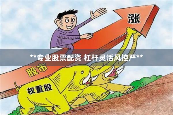**专业股票配资 杠杆灵活风控严**
